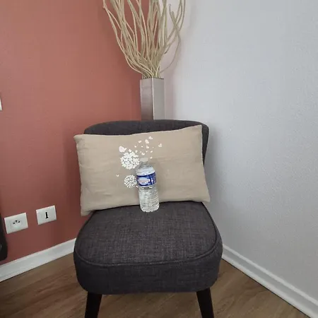 2pieces Cere Avec Terrasse Et Parking Lejlighed